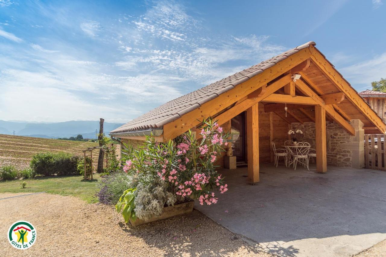 Chalet Le Clos De L'Orme Saint-Lattier Exterior foto